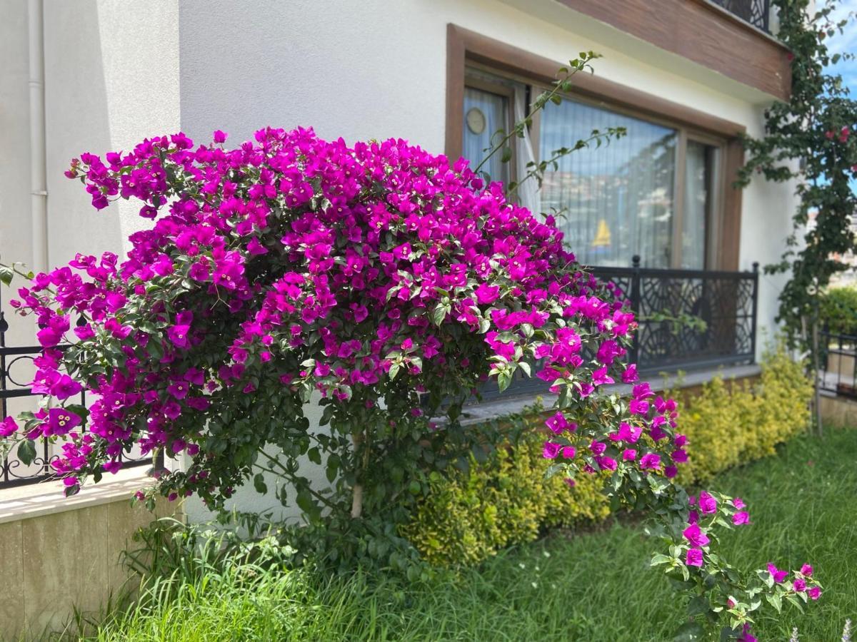 Yelken Pansiyon Sinop Luaran gambar